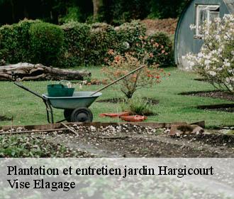 Plantation et entretien jardin  hargicourt-02420 Vise Elagage
