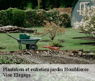 Plantation et entretien jardin  homblieres-02720 Vise Elagage