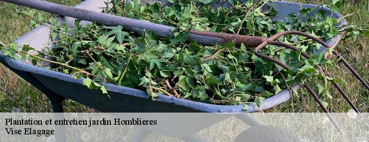Plantation et entretien jardin  02720