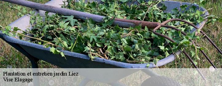 Plantation et entretien jardin  02700