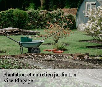 Plantation et entretien jardin  lor-02190 Vise Elagage