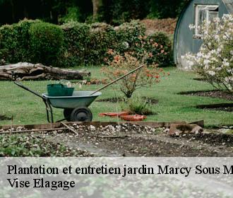 Plantation et entretien jardin  marcy-sous-marle-02250 Vise Elagage