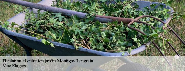 Plantation et entretien jardin  02290