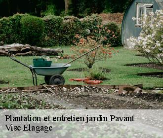 Plantation et entretien jardin  pavant-02310 Vise Elagage
