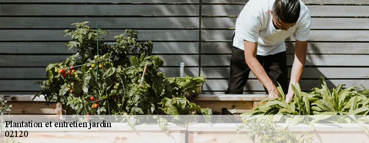 Plantation et entretien jardin  02120
