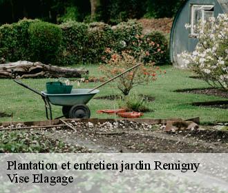 Plantation et entretien jardin  remigny-02440 Vise Elagage