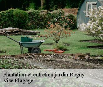 Plantation et entretien jardin  rogny-02140 Vise Elagage