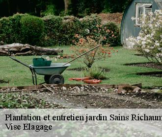 Plantation et entretien jardin  sains-richaumont-02120 Vise Elagage