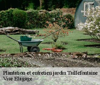 Plantation et entretien jardin  taillefontaine-02600 Vise Elagage
