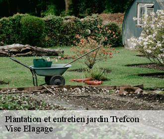 Plantation et entretien jardin  trefcon-02490 Vise Elagage