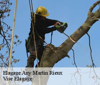 Elagage  any-martin-rieux-02500 Vise Elagage