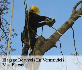 Elagage  beauvois-en-vermandois-02590 Vise Elagage