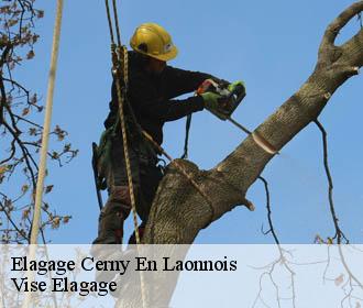 Elagage  cerny-en-laonnois-02860 Vise Elagage