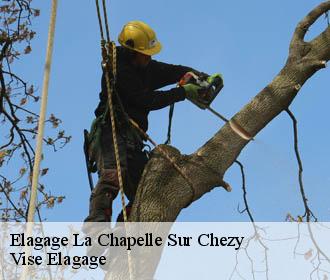 Elagage  la-chapelle-sur-chezy-02570 Vise Elagage