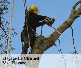 Elagage  le-charmel-02850 Vise Elagage