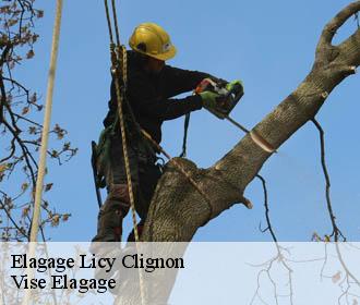 Elagage  licy-clignon-02810 Vise Elagage
