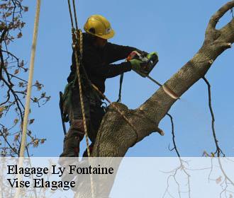 Elagage  ly-fontaine-02440 Vise Elagage
