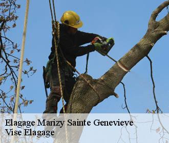 Elagage  marizy-sainte-genevieve-02470 Vise Elagage