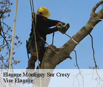 Elagage  montigny-sur-crecy-02270 Vise Elagage