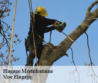 Elagage  mortefontaine-02600 Vise Elagage