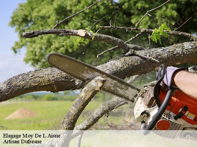 Elagage moy-de-l-aisne-02610 Artisan Dufresne