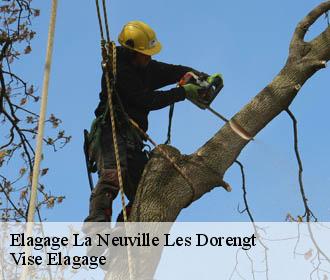 Elagage  la-neuville-les-dorengt-02450 Vise Elagage