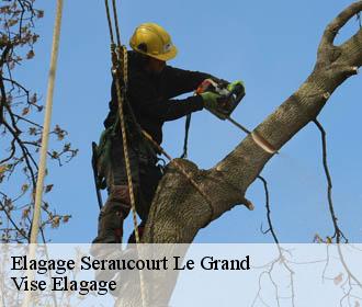 Elagage  seraucourt-le-grand-02790 Vise Elagage