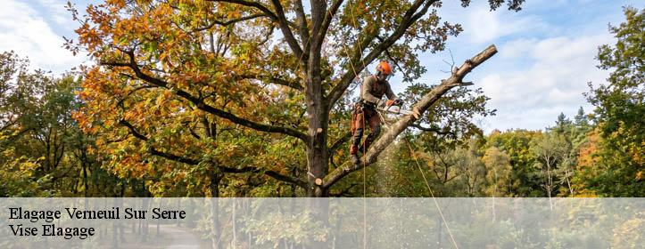 Elagage  02000