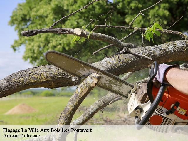 Elagage la-ville-aux-bois-les-pontavert-02160