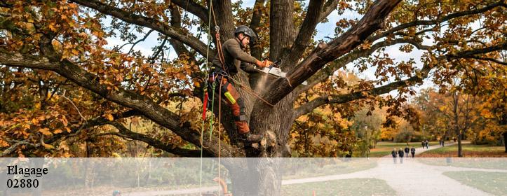 Elagage  02880