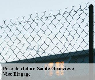 Pose de cloture  sainte-genevieve-02340 Vise Elagage