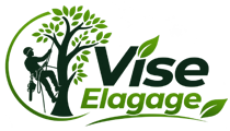elagage-vise-elagage